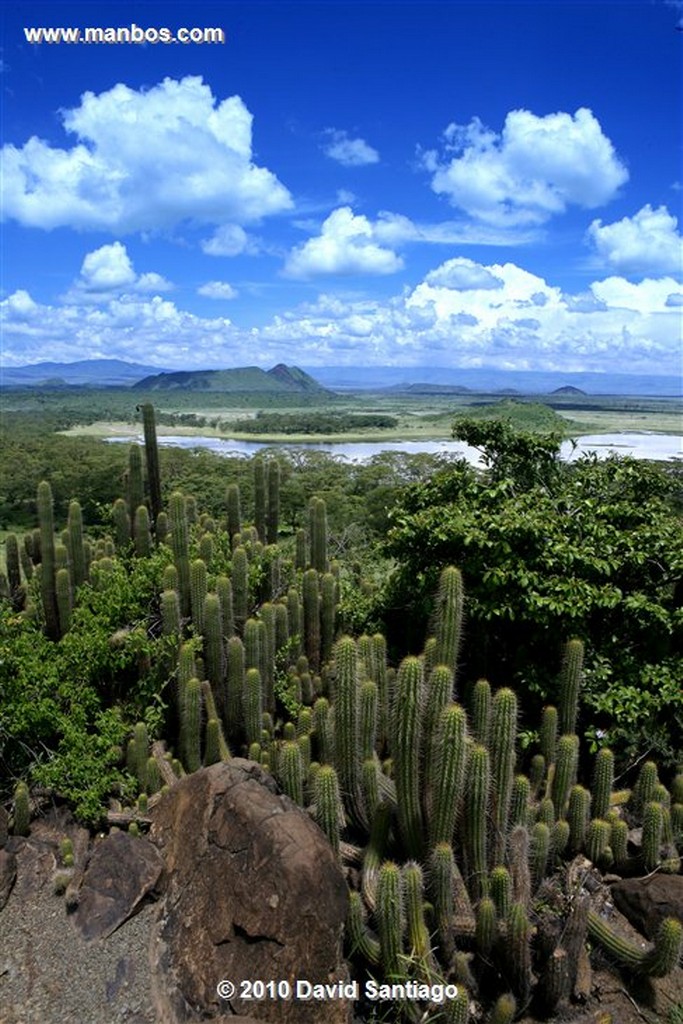 Lago Elementaita
Lago Elementaita Kenia 
Lago Elementaita