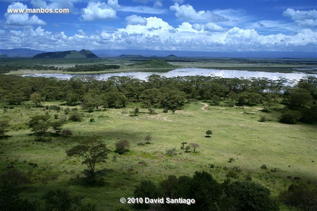 Kariandusi
Centro Arqueologico de Kariandusi Kenia 
Kariandusi