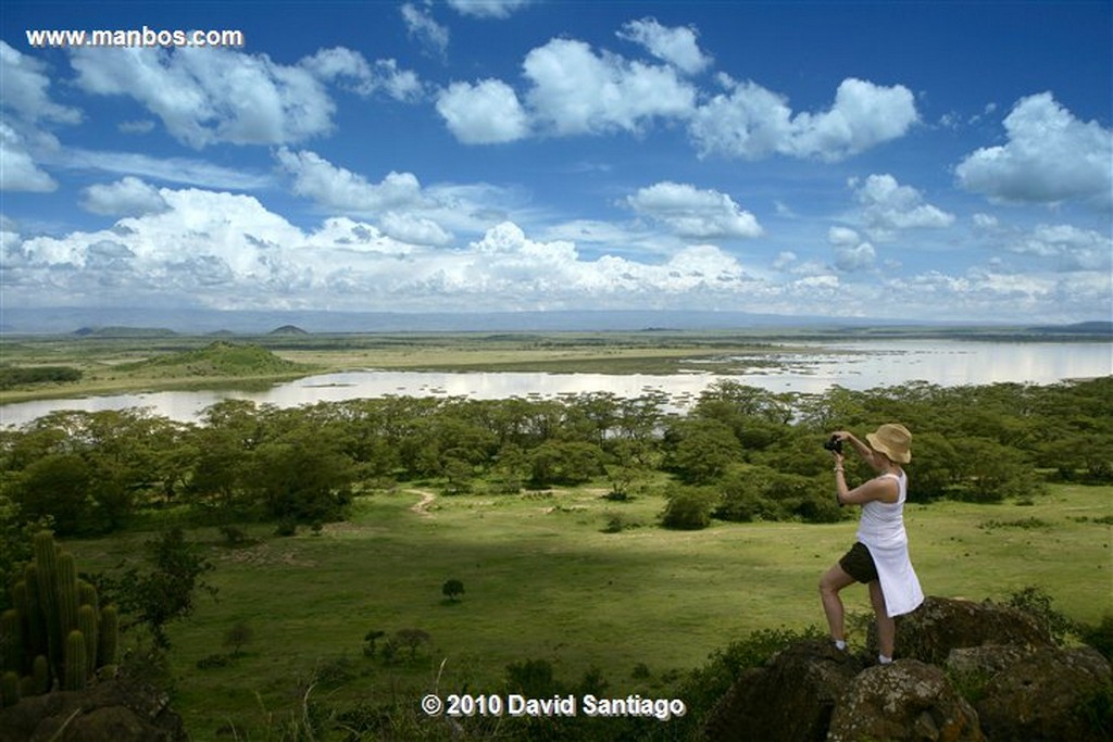 Lago Elementaita
Lago Elementaita Kenia 
Lago Elementaita