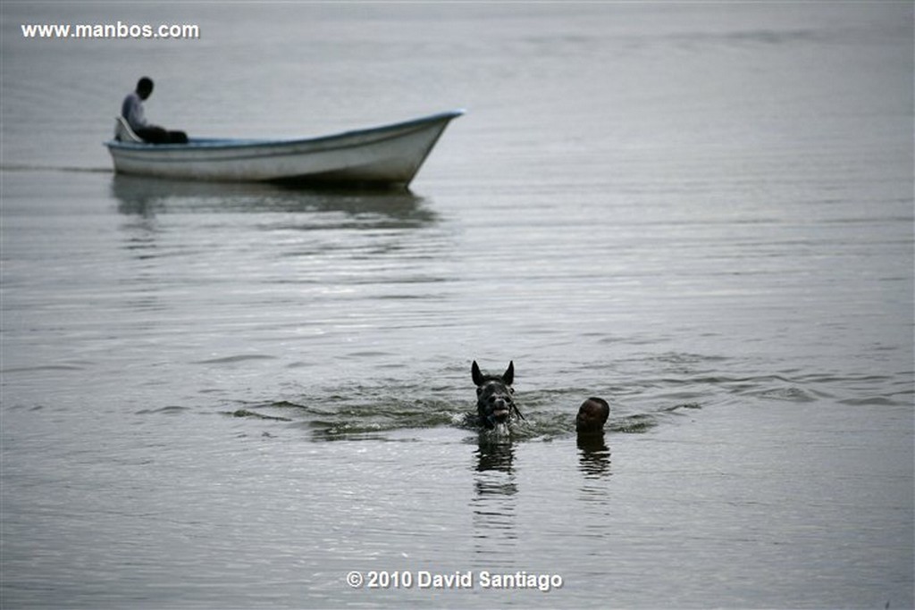 Lago Naivasha
Lago Naivasha Kenia 
Lago Naivasha