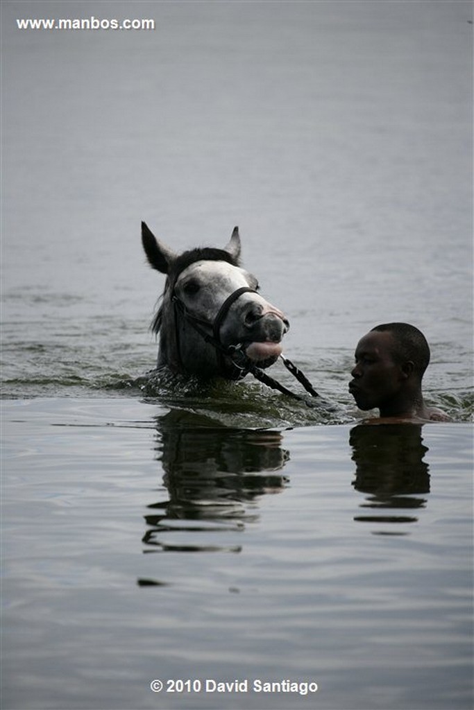 Lago Naivasha
Lago Naivasha Kenia 
Lago Naivasha