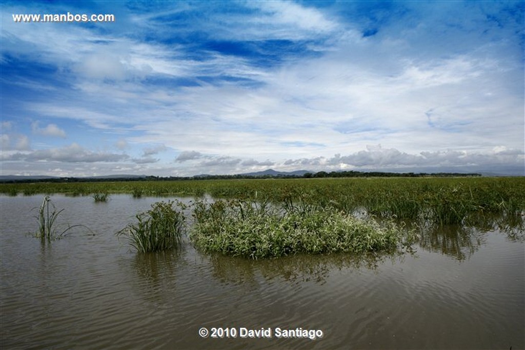 Lago Naivasha
Lago Naivasha Kenia 
Lago Naivasha