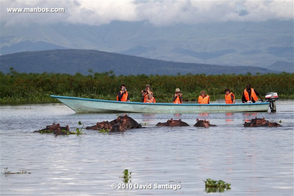 Lago Naivasha
Lago Naivasha Kenia 
Lago Naivasha