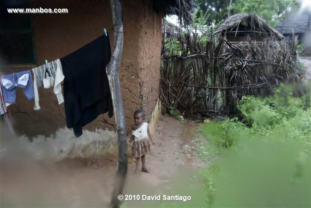 Gazi
Pueblo de Pescadores de Gazi Kenia
Gazi