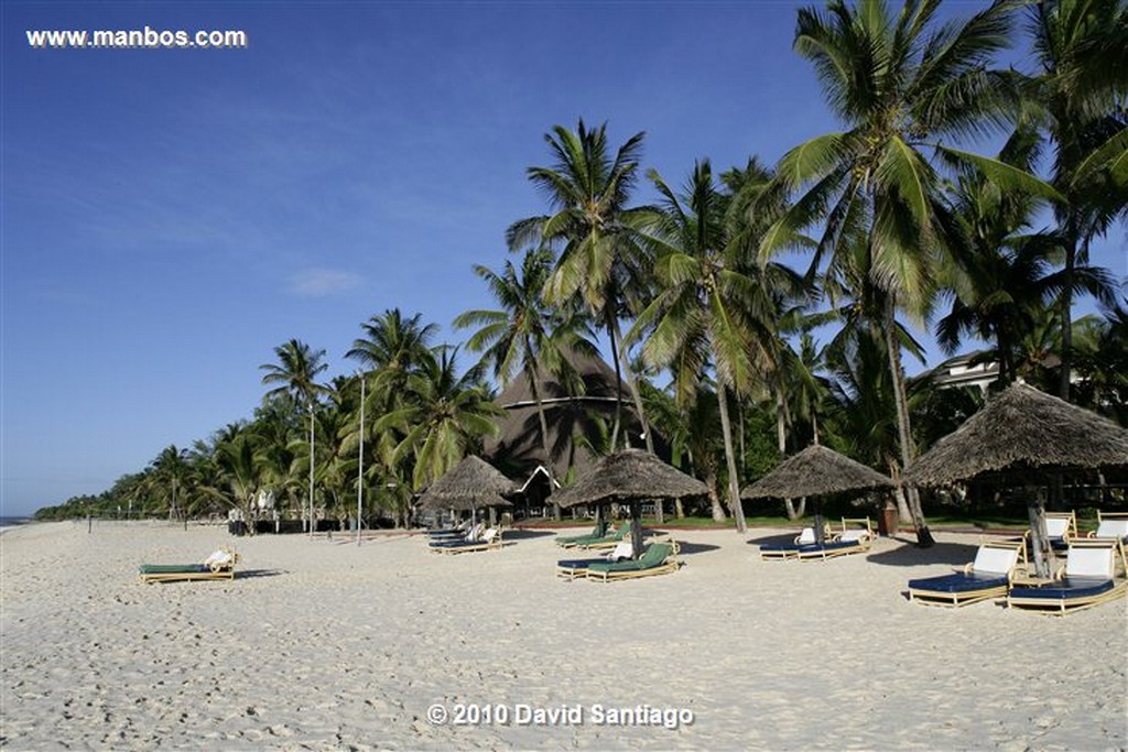 Diani
Mombasa Kenia 
Mombasa