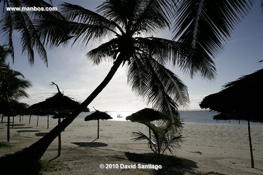 Diani
Mombasa Kenia 
Mombasa