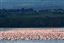 Lago Nakuru
Lago Nakuru Kenia 
Lago Nakuru