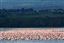 Lago Nakuru
Lago Nakuru Kenia 
Lago Nakuru