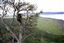 Lago Nakuru
Lago Nakuru Kenia 
Lago Nakuru