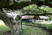 Ol Pajeta Wildlife Conservancy , Ol Pajeta, Kenia 