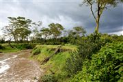 Ol Pajeta Wildlife Conservancy , Ol Pajeta, Kenia 