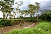 Ol Pajeta Wildlife Conservancy , Ol Pajeta, Kenia 