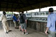 Ol Pajeta Wildlife Conservancy , Ol Pajeta, Kenia 