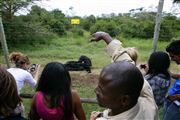 Ol Pajeta Wildlife Conservancy , Ol Pajeta, Kenia 