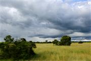 Ol Pajeta Wildlife Conservancy , Ol Pajeta, Kenia 