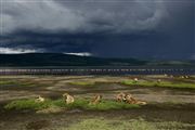 Lago Nakuru, Lago Nakuru, Kenia 