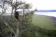 Lago Nakuru, Lago Nakuru, Kenia 