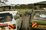 Lago Nakuru , Lago Nakuru, Kenia 