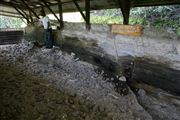 Archaeological Site Of Kariandusi , Kariandusi, Kenia 