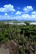 Lago Elementaita , Lago Elementaita, Kenia 