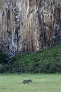 Hells Gate National Park , Hells Gate National Park, Kenia 