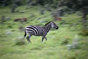 Hells Gate National Park , Hells Gate National Park, Kenia 