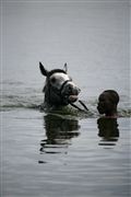 Lago Naivasha, Lago Naivasha, Kenia 