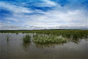 Lago Naivasha, Lago Naivasha, Kenia 