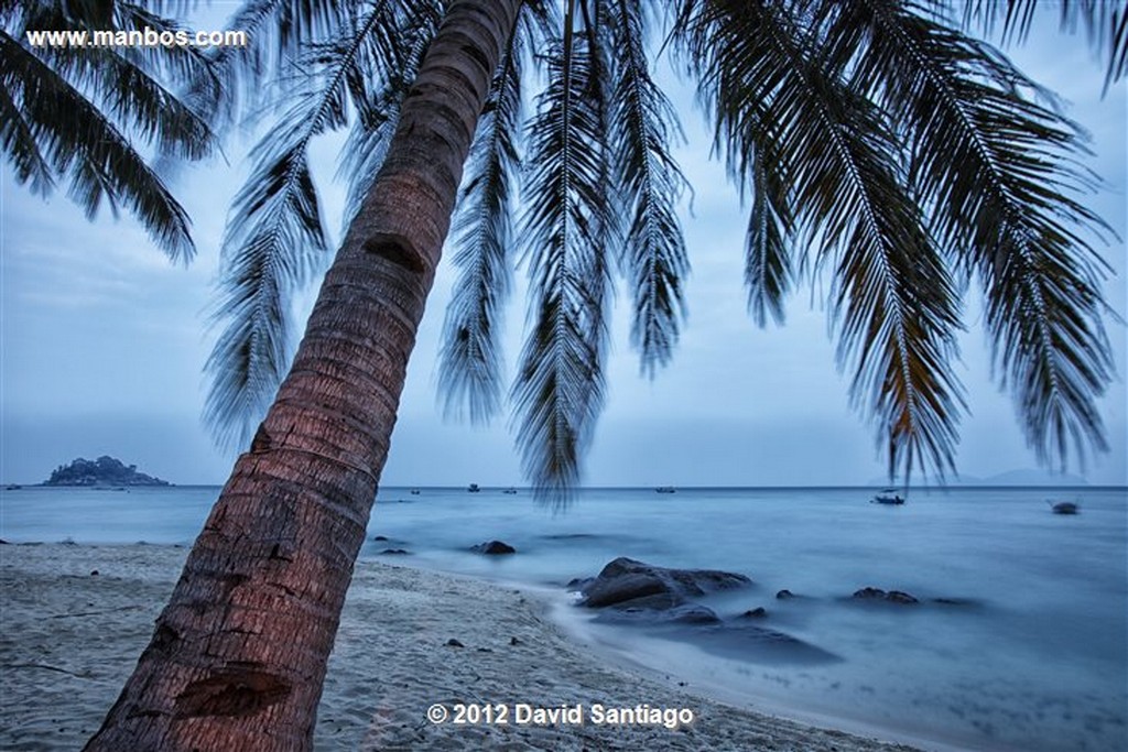 Palau Tioman Island
Palau Tioman Island
Pahang