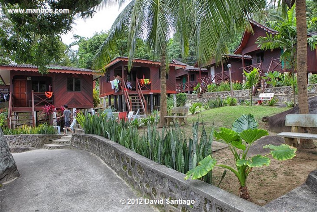 Palau Tioman Island
Pahang