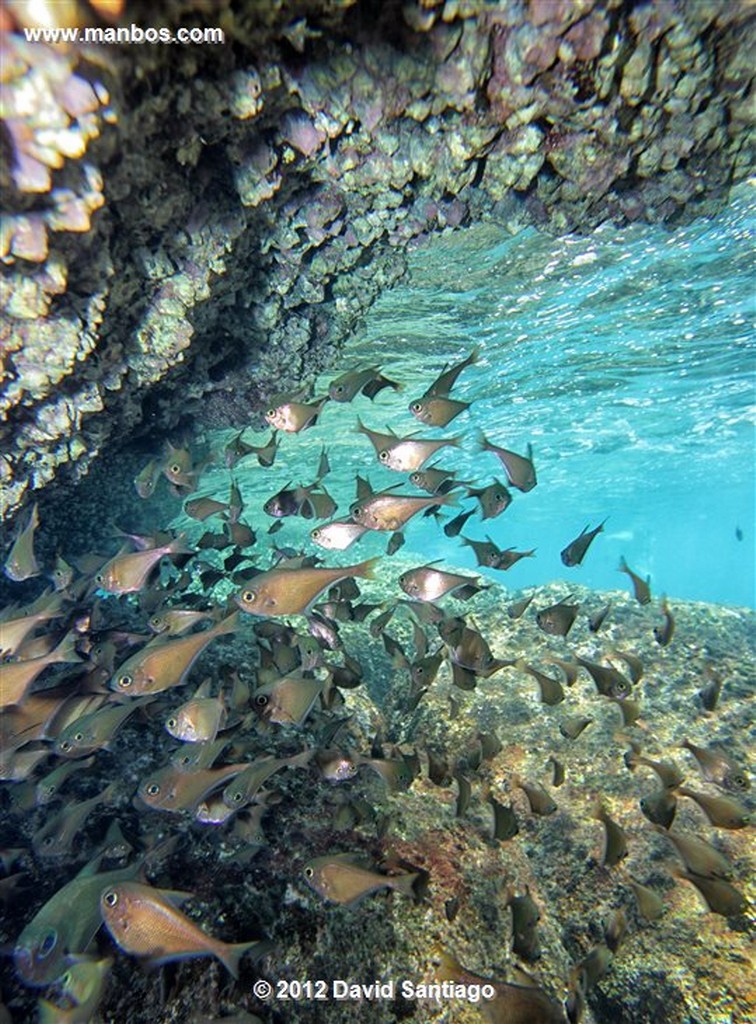 Palau Tioman Island
Pahang