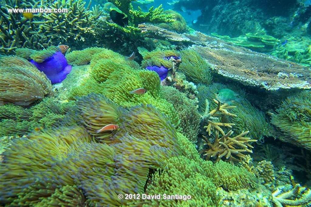 Palau Tioman Island
Pahang