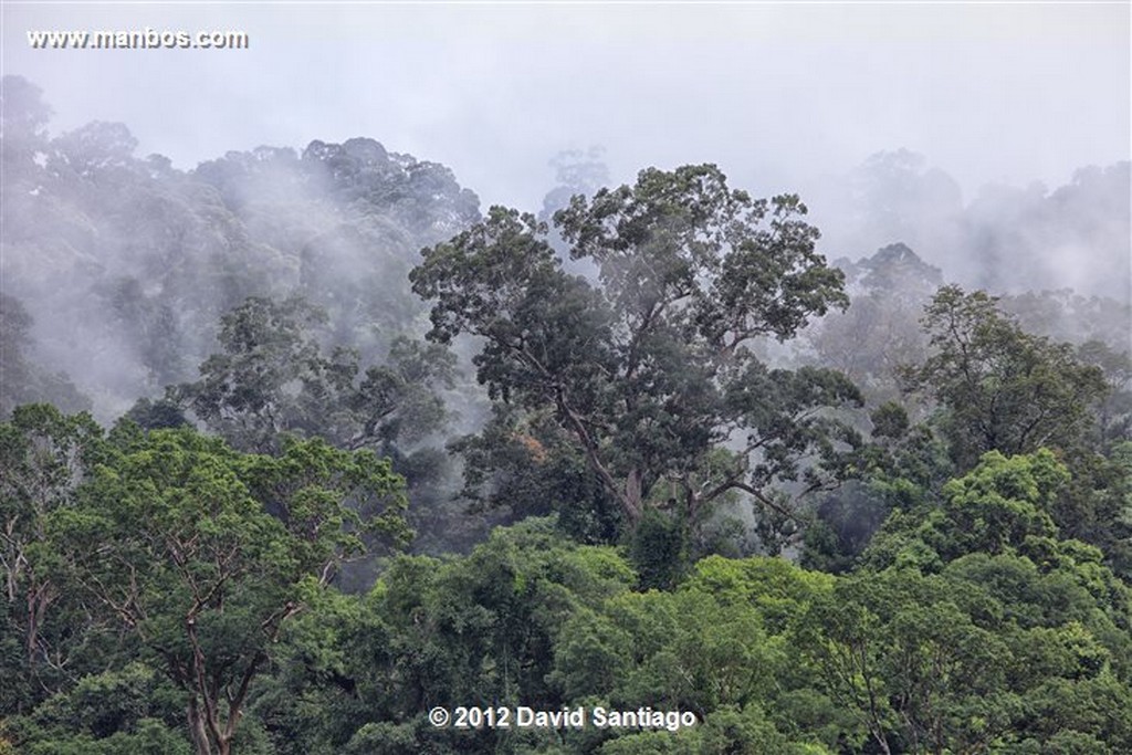 Taman Negara National Park
Kelantan - terengganu y pahang