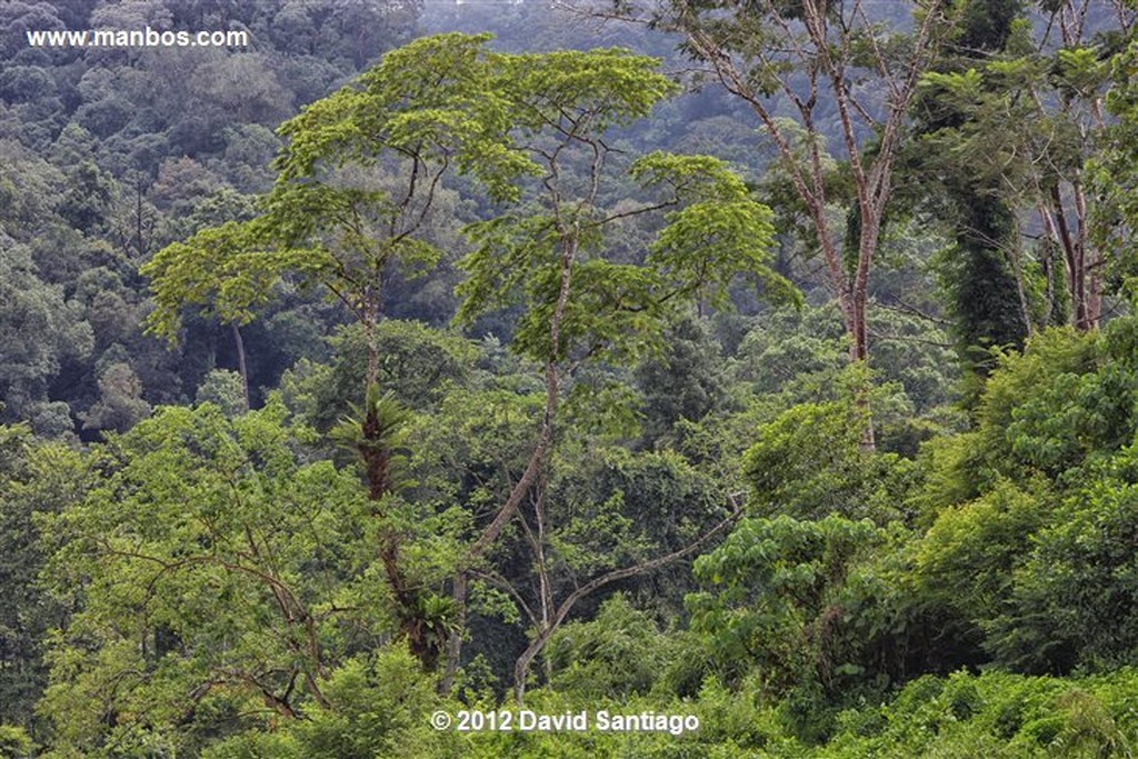 Taman Negara National Park
Kelantan - terengganu y pahang