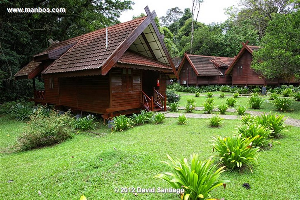 Taman Negara National Park
Kelantan - terengganu y pahang