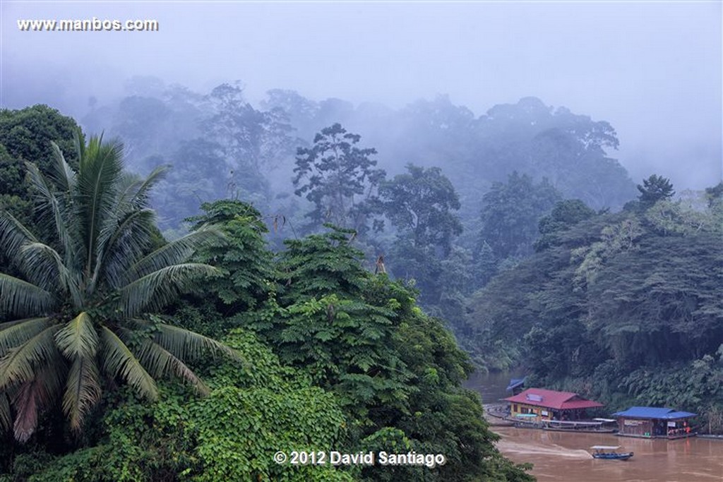 Taman Negara National Park
Kelantan - terengganu y pahang