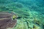 Palau Tioman Island, Palau Tioman Island, Malasia