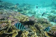 Palau Tioman Island, Palau Tioman Island, Malasia