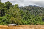 Taman Negara National Park, Taman Negara National Park, Malasia