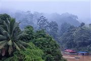 Taman Negara National Park, Taman Negara National Park, Malasia