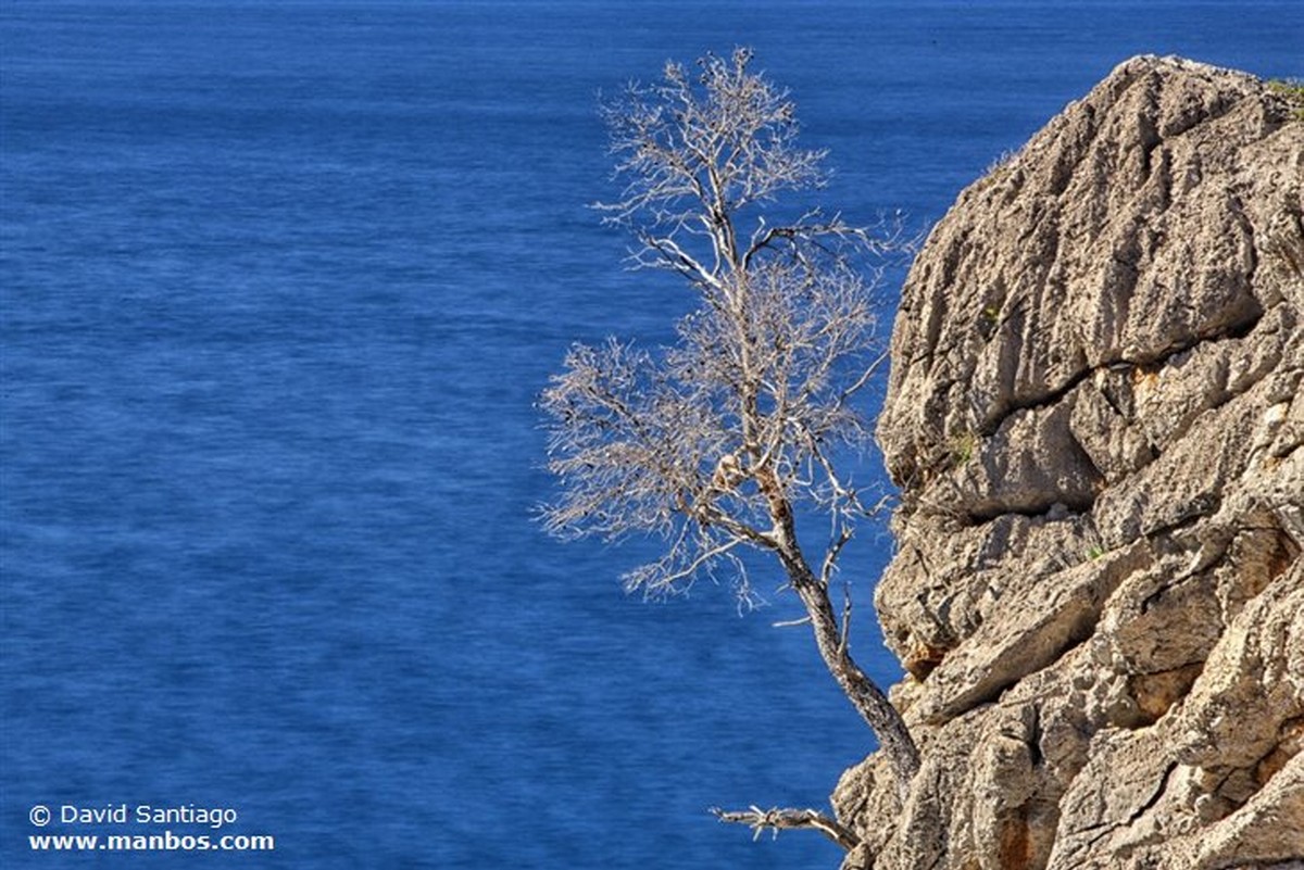 Mallorca
Isla de Mallorca
Islas Baleares