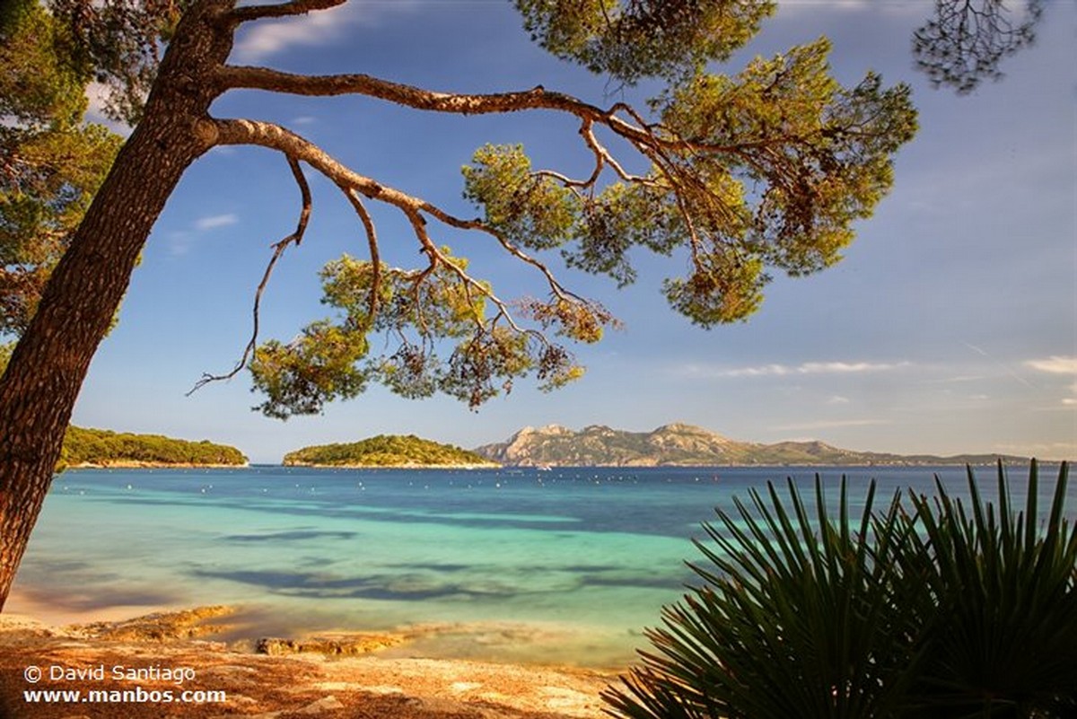 Mallorca
Isla de Mallorca
Islas Baleares