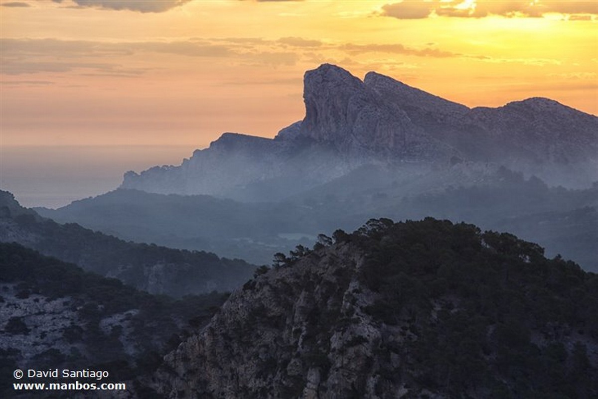 Mallorca
Isla de Mallorca
Islas Baleares