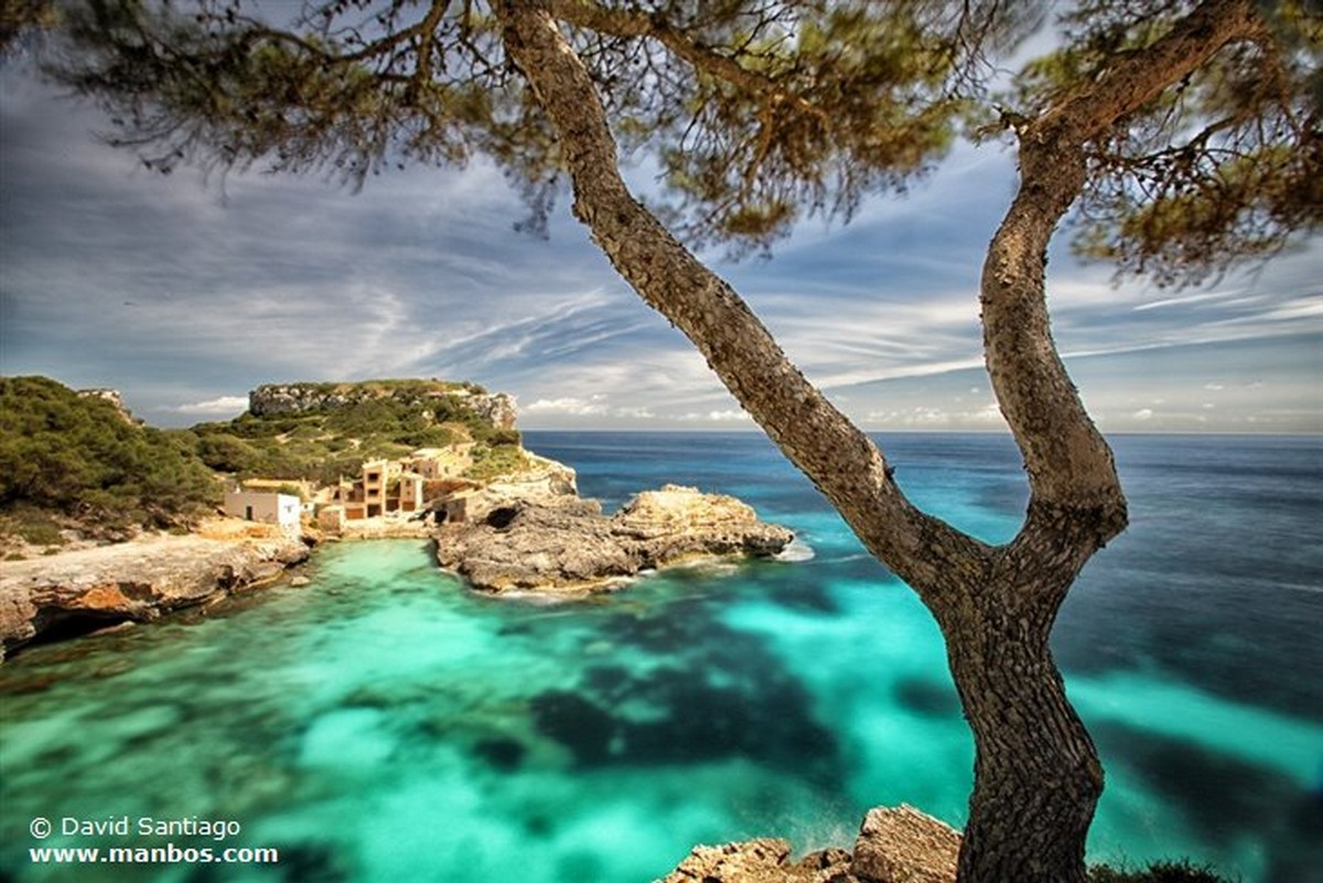 Mallorca
Isla de Mallorca
Islas Baleares