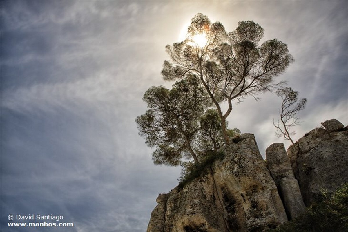 Mallorca
Isla de Mallorca
Islas Baleares