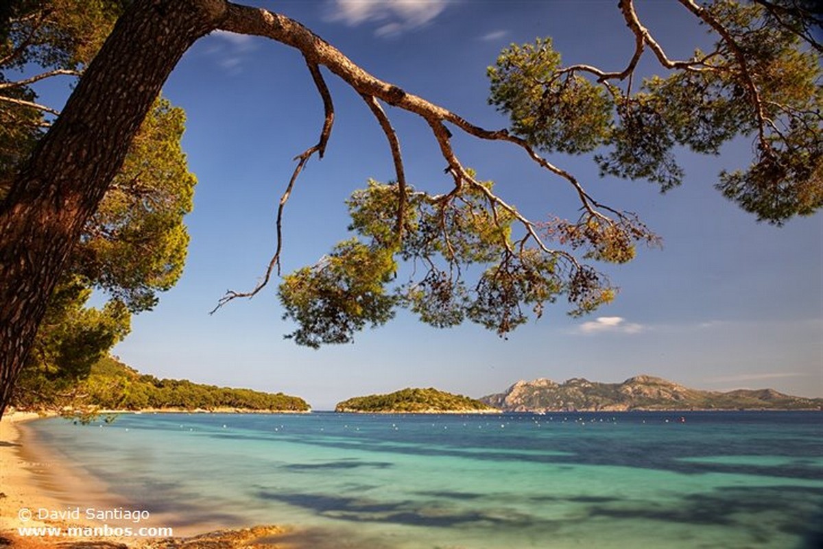 Mallorca
Isla de Mallorca
Islas Baleares