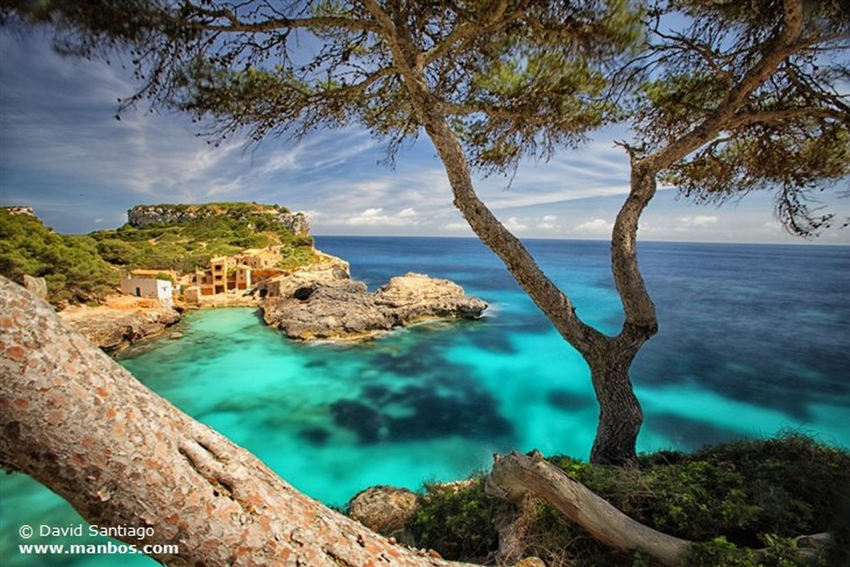 Mallorca
Isla de Mallorca
Islas Baleares