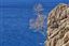 Mallorca
Isla de Mallorca
Islas Baleares