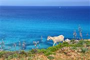 Cala Mesquida, Mallorca, España