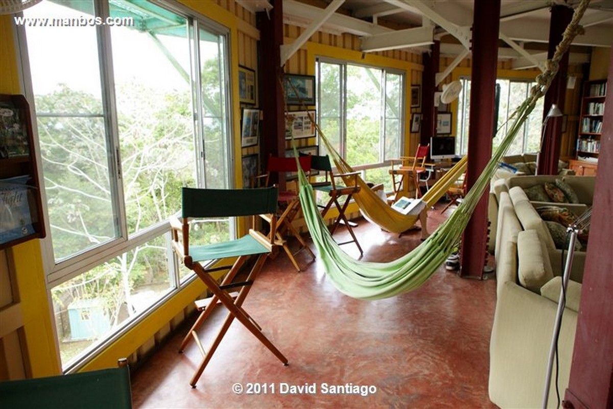 Panama
Canopy Tower
Panama